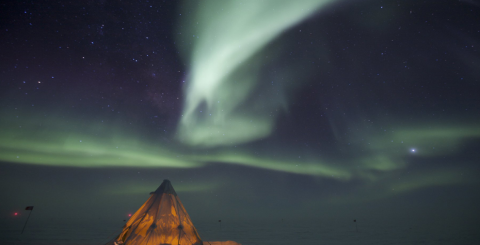 Aurora 23, which five elements cannot be included