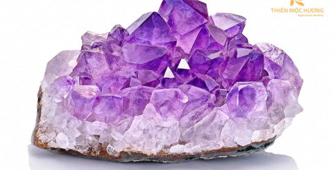 The symbolism of the amethyst nine tailed fox