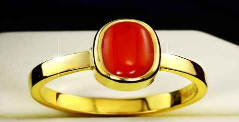 Red Coral Metaphysical Properties: Boost Energy, Vitality & Focus