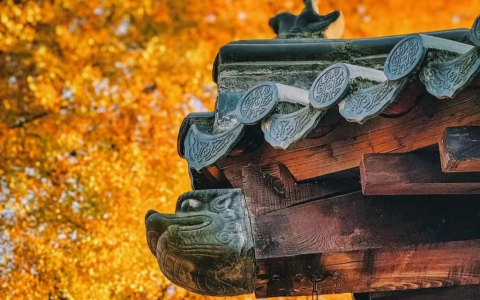 The Feng Shui Function and Efficacy of Copper Pixiu